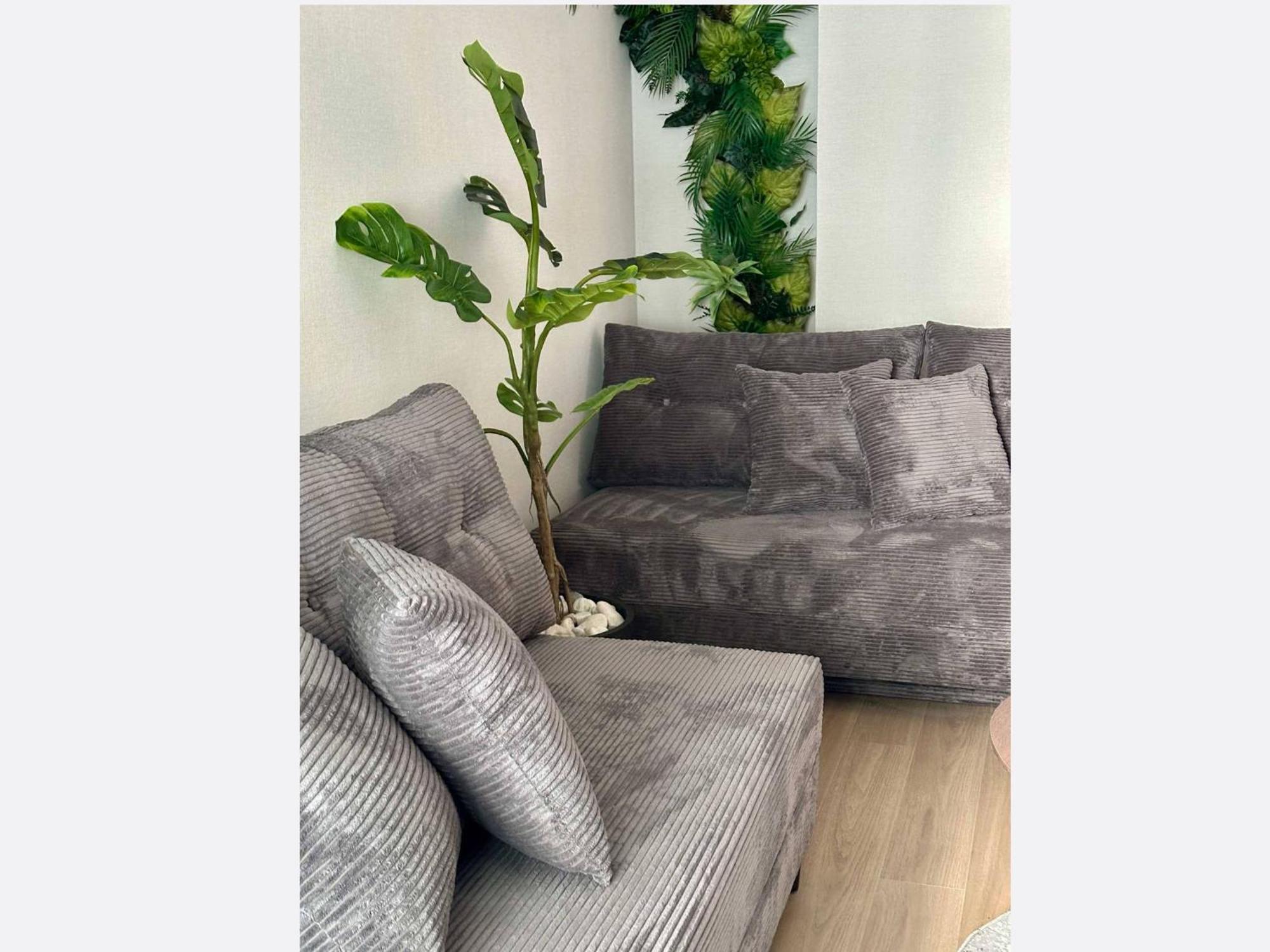 Apartment Jungle Krakau